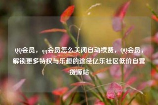 QQ会员，qq会员怎么关闭自动续费，QQ会员，解锁更多特权与乐趣的途径亿乐社区低价自营货源站