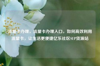 流量卡办理，流量卡办理入口，如何高效利用流量卡，让生活更便捷亿乐社区SUP货源站