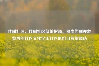 代刷社区，代刷社区低价货源，网络代刷现象背后的社区文化亿乐社区低价自营货源站