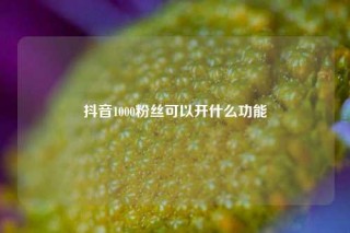 抖音1000粉丝可以开什么功能