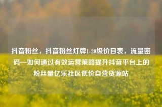 抖音粉丝，抖音粉丝灯牌1-20级价目表，流量密码—如何通过有效运营策略提升抖音平台上的粉丝量亿乐社区低价自营货源站