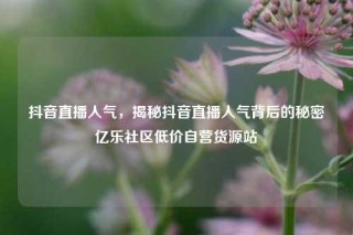 抖音直播人气，揭秘抖音直播人气背后的秘密亿乐社区低价自营货源站