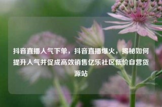 抖音直播人气下单，抖音直播爆火，揭秘如何提升人气并促成高效销售亿乐社区低价自营货源站
