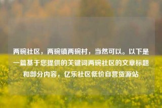 两碗社区，两碗镇两碗村，当然可以。以下是一篇基于您提供的关键词两碗社区的文章标题和部分内容，亿乐社区低价自营货源站
