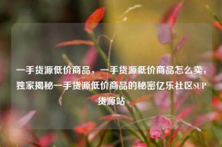 一手货源低价商品，一手货源低价商品怎么卖，独家揭秘一手货源低价商品的秘密亿乐社区SUP货源站