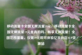 移动流量卡全国无限流量19元，移动流量卡全国无限流量19元是真的吗，畅享无限流量！全国范围覆盖，仅需19元即可体验亿乐社区SUP货源站