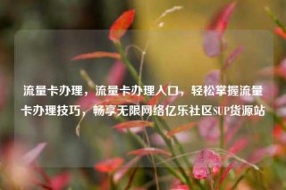 流量卡办理，流量卡办理入口，轻松掌握流量卡办理技巧，畅享无限网络亿乐社区SUP货源站