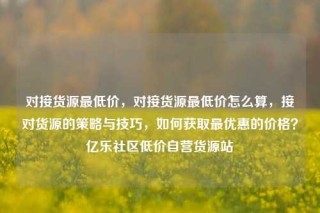 对接货源最低价，对接货源最低价怎么算，接对货源的策略与技巧，如何获取最优惠的价格？亿乐社区低价自营货源站