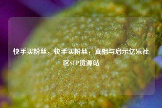 快手买粉丝，快手买粉丝，真相与启示亿乐社区SUP货源站