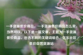 一手货源低价商品，一手货源低价商品怎么卖，当然可以。以下是一篇文章，主题为一手货源低价商品，包含不同的关键词组合。亿乐社区低价自营货源站