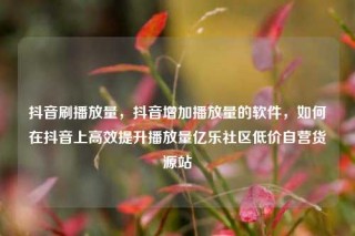 抖音刷播放量，抖音增加播放量的软件，如何在抖音上高效提升播放量亿乐社区低价自营货源站