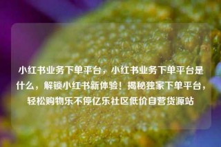 小红书业务下单平台，小红书业务下单平台是什么，解锁小红书新体验！揭秘独家下单平台，轻松购物乐不停亿乐社区低价自营货源站