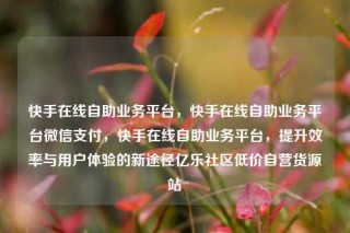 快手在线自助业务平台，快手在线自助业务平台微信支付，快手在线自助业务平台，提升效率与用户体验的新途径亿乐社区低价自营货源站