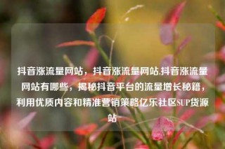 抖音涨流量网站，抖音涨流量网站,抖音涨流量网站有哪些，揭秘抖音平台的流量增长秘籍，利用优质内容和精准营销策略亿乐社区SUP货源站