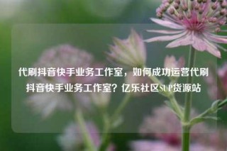 代刷抖音快手业务工作室，如何成功运营代刷抖音快手业务工作室？亿乐社区SUP货源站