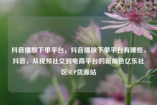 抖音播放下单平台，抖音播放下单平台有哪些，抖音，从视频社交到电商平台的新角色亿乐社区SUP货源站