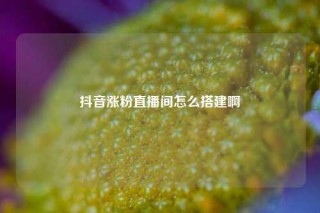 抖音涨粉直播间怎么搭建啊