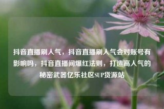 抖音直播刷人气，抖音直播刷人气会对账号有影响吗，抖音直播间爆红法则，打造高人气的秘密武器亿乐社区SUP货源站