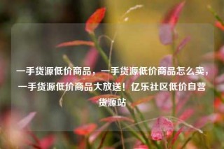 一手货源低价商品，一手货源低价商品怎么卖，一手货源低价商品大放送！亿乐社区低价自营货源站