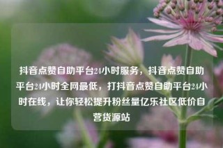 抖音点赞自助平台24小时服务，抖音点赞自助平台24小时全网最低，打抖音点赞自助平台24小时在线，让你轻松提升粉丝量亿乐社区低价自营货源站