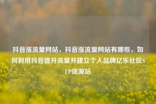 抖音涨流量网站，抖音涨流量网站有哪些，如何利用抖音提升流量并建立个人品牌亿乐社区SUP货源站