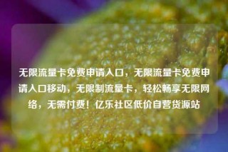 无限流量卡免费申请入口，无限流量卡免费申请入口移动，无限制流量卡，轻松畅享无限网络，无需付费！亿乐社区低价自营货源站