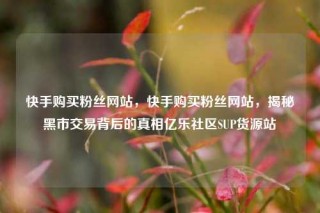 快手购买粉丝网站，快手购买粉丝网站，揭秘黑市交易背后的真相亿乐社区SUP货源站
