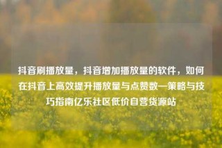 抖音刷播放量，抖音增加播放量的软件，如何在抖音上高效提升播放量与点赞数—策略与技巧指南亿乐社区低价自营货源站