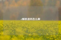 cf解机器码怎么解