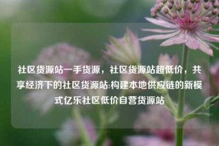 社区货源站一手货源，社区货源站超低价，共享经济下的社区货源站:构建本地供应链的新模式亿乐社区低价自营货源站