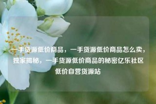 一手货源低价商品，一手货源低价商品怎么卖，独家揭秘，一手货源低价商品的秘密亿乐社区低价自营货源站