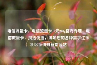 电信流量卡，电信流量卡19元200g官方办理，电信流量卡，灵活便捷，满足您的各种需求亿乐社区低价自营货源站