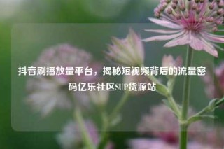 抖音刷播放量平台，揭秘短视频背后的流量密码亿乐社区SUP货源站