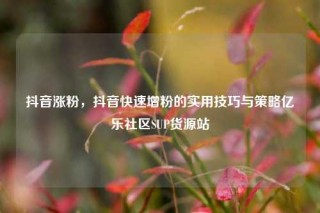 抖音涨粉，抖音快速增粉的实用技巧与策略亿乐社区SUP货源站