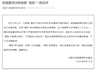 多器官衰竭 大熊猫“福茹”8月16日凌晨离世