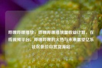 哔哩哔哩播放，哔哩哔哩播放量收益计算，在线视频平台，哔哩哔哩的火热与未来展望亿乐社区低价自营货源站