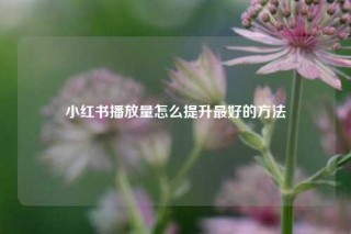 小红书播放量怎么提升最好的方法