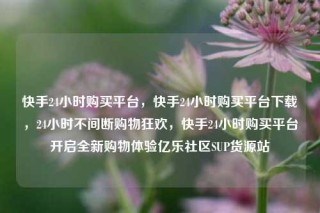 快手24小时购买平台，快手24小时购买平台下载，24小时不间断购物狂欢，快手24小时购买平台开启全新购物体验亿乐社区SUP货源站