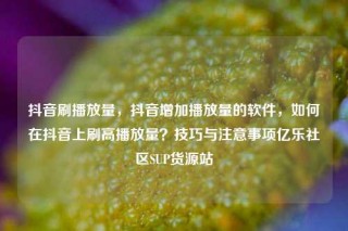 抖音刷播放量，抖音增加播放量的软件，如何在抖音上刷高播放量？技巧与注意事项亿乐社区SUP货源站