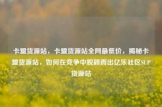 卡盟货源站，卡盟货源站全网最低价，揭秘卡盟货源站，如何在竞争中脱颖而出亿乐社区SUP货源站