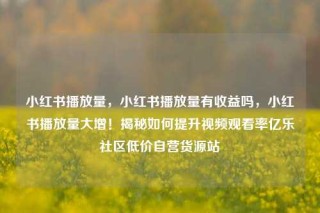 小红书播放量，小红书播放量有收益吗，小红书播放量大增！揭秘如何提升视频观看率亿乐社区低价自营货源站