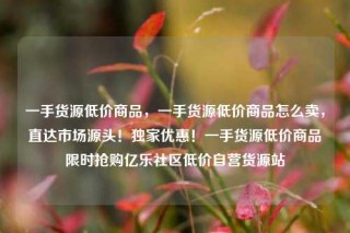 一手货源低价商品，一手货源低价商品怎么卖，直达市场源头！独家优惠！一手货源低价商品限时抢购亿乐社区低价自营货源站