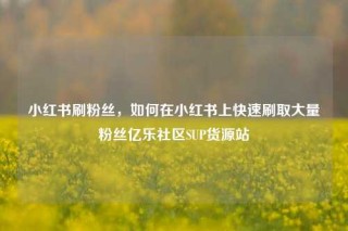 小红书刷粉丝，如何在小红书上快速刷取大量粉丝亿乐社区SUP货源站
