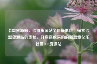卡盟货源站，卡盟货源站全网最低价，探索卡盟货源站的奥秘，开启高效采购的新篇章亿乐社区SUP货源站