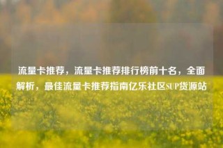 流量卡推荐，流量卡推荐排行榜前十名，全面解析，最佳流量卡推荐指南亿乐社区SUP货源站