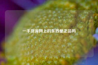 一手货源网上的东西是正品吗