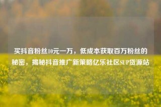 买抖音粉丝10元一万，低成本获取百万粉丝的秘密，揭秘抖音推广新策略亿乐社区SUP货源站