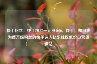 快手粉丝，快手粉丝一元涨1000，快手，如何成为百万级粉丝的快手达人亿乐社区低价自营货源站