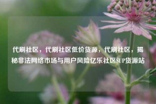 代刷社区，代刷社区低价货源，代刷社区，揭秘非法网络市场与用户风险亿乐社区SUP货源站