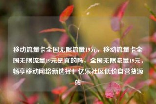 移动流量卡全国无限流量19元，移动流量卡全国无限流量19元是真的吗，全国无限流量19元，畅享移动网络新选择！亿乐社区低价自营货源站